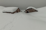 Nella nebbia a Cima Papa Giovanni Paolo II il 30 marzo 2013 - FOTOGALLERY