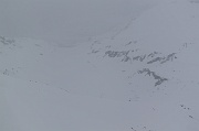 IMG_7729