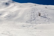 _MG_0585