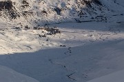 _MG_5363