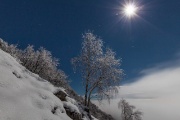 Effetti speciali in città Alta  - FOTOGALLERY