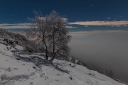 IMG_7879