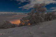 IMG_7894