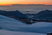 IMG_7941
