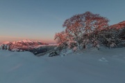IMG_8023