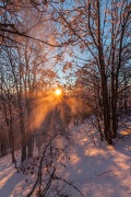 IMG_8081
