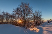 IMG_8099