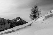 IMG_1683