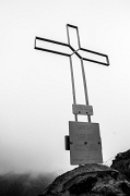 11_Corce