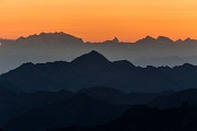 _MG_4441