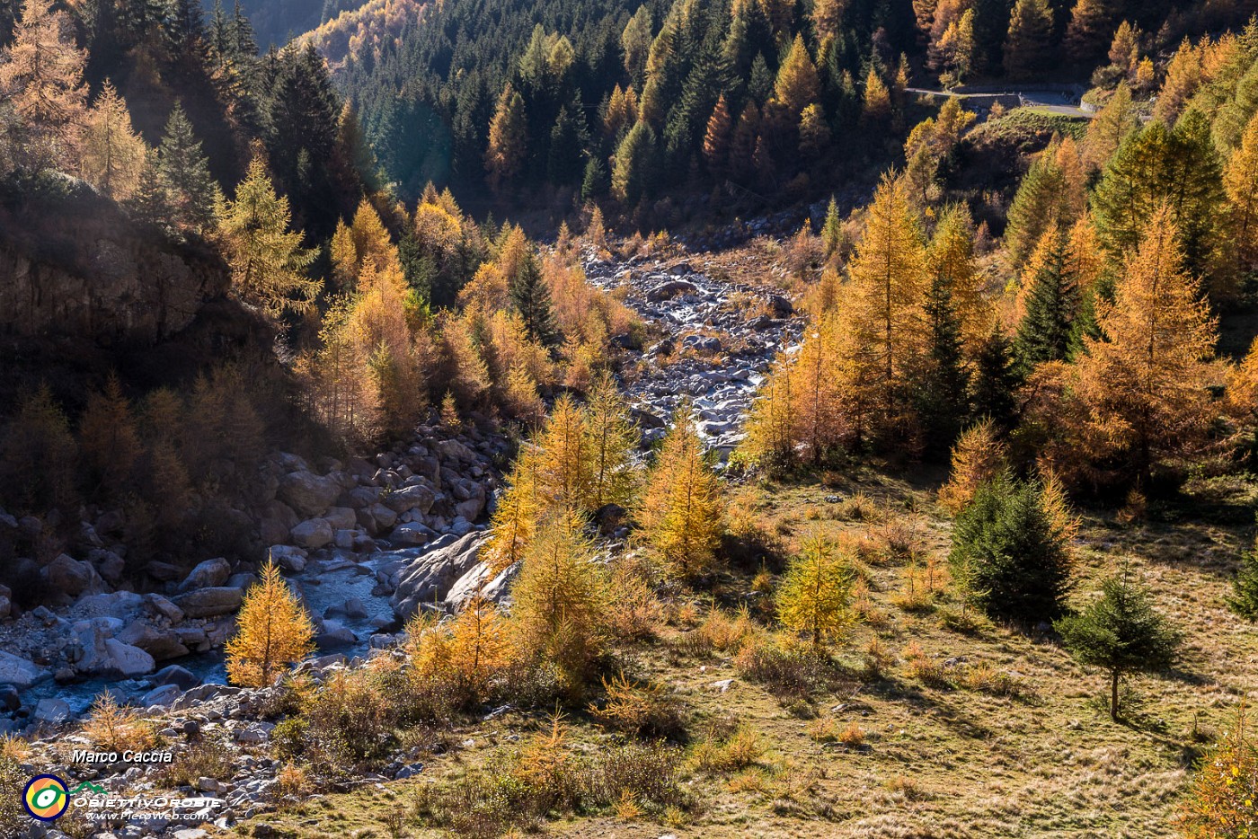 _MG_4087.JPG