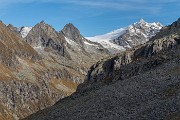 _MG_3897