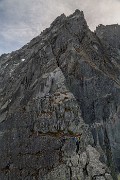 _MG_3904