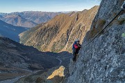_MG_3942