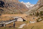_MG_4069