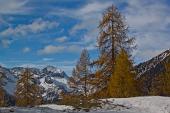 48_Cavallo