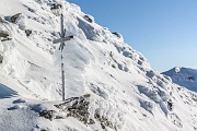 IMG_1029