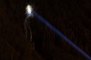 _MG_2937