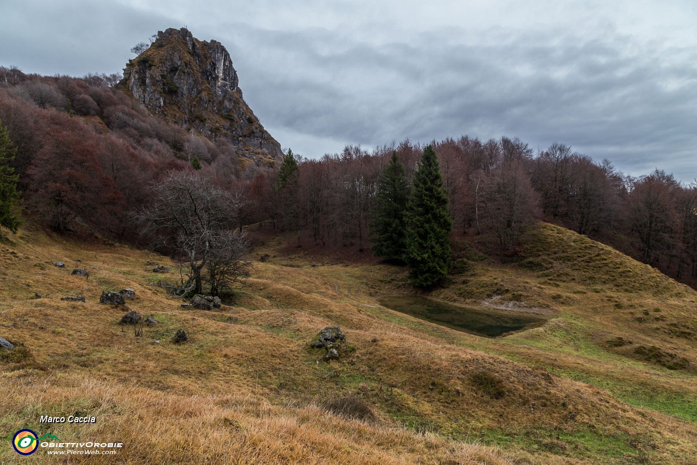 _MG_5079.JPG