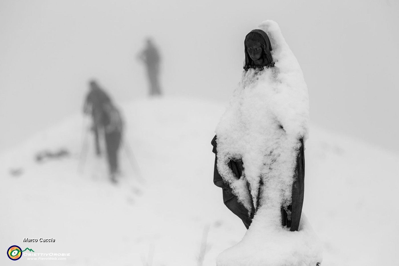 _MG_5125.JPG