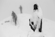 _MG_5125