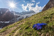 _MG_3712