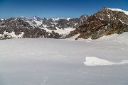 _MG_3987