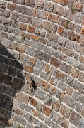 27_Equilibristi