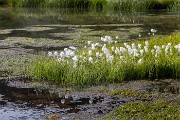 _MG_1612
