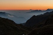_MG_1729