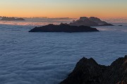 _MG_1859