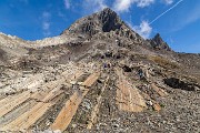 IMG_5616