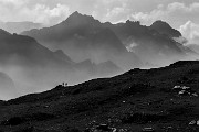 IMG_5622