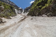 IMG_6710