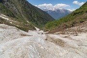 IMG_6719