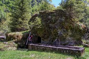 IMG_6729