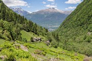 IMG_6738
