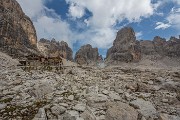 _MG_4987