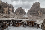 _MG_4995