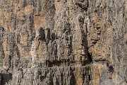 _MG_5100