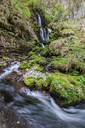 _MG_0004