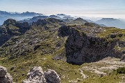 _MG_4803