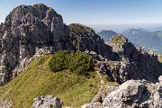 _MG_4811