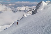 _MG_0805