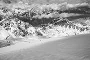 _MG_0835
