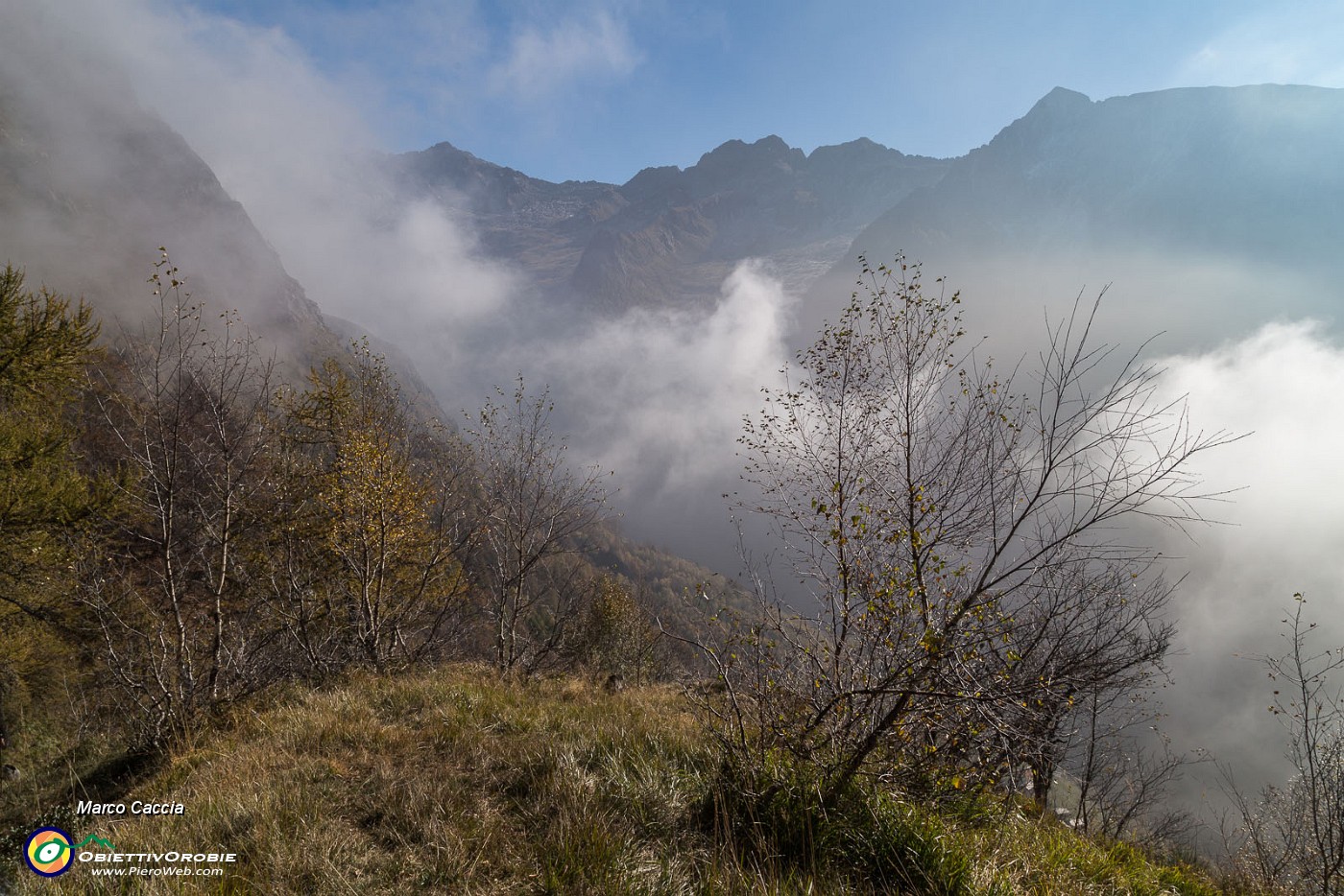 _MG_7526.JPG
