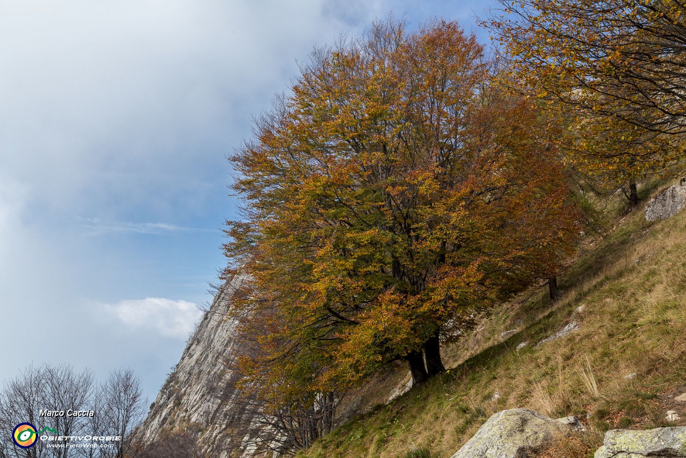 _MG_7554.JPG