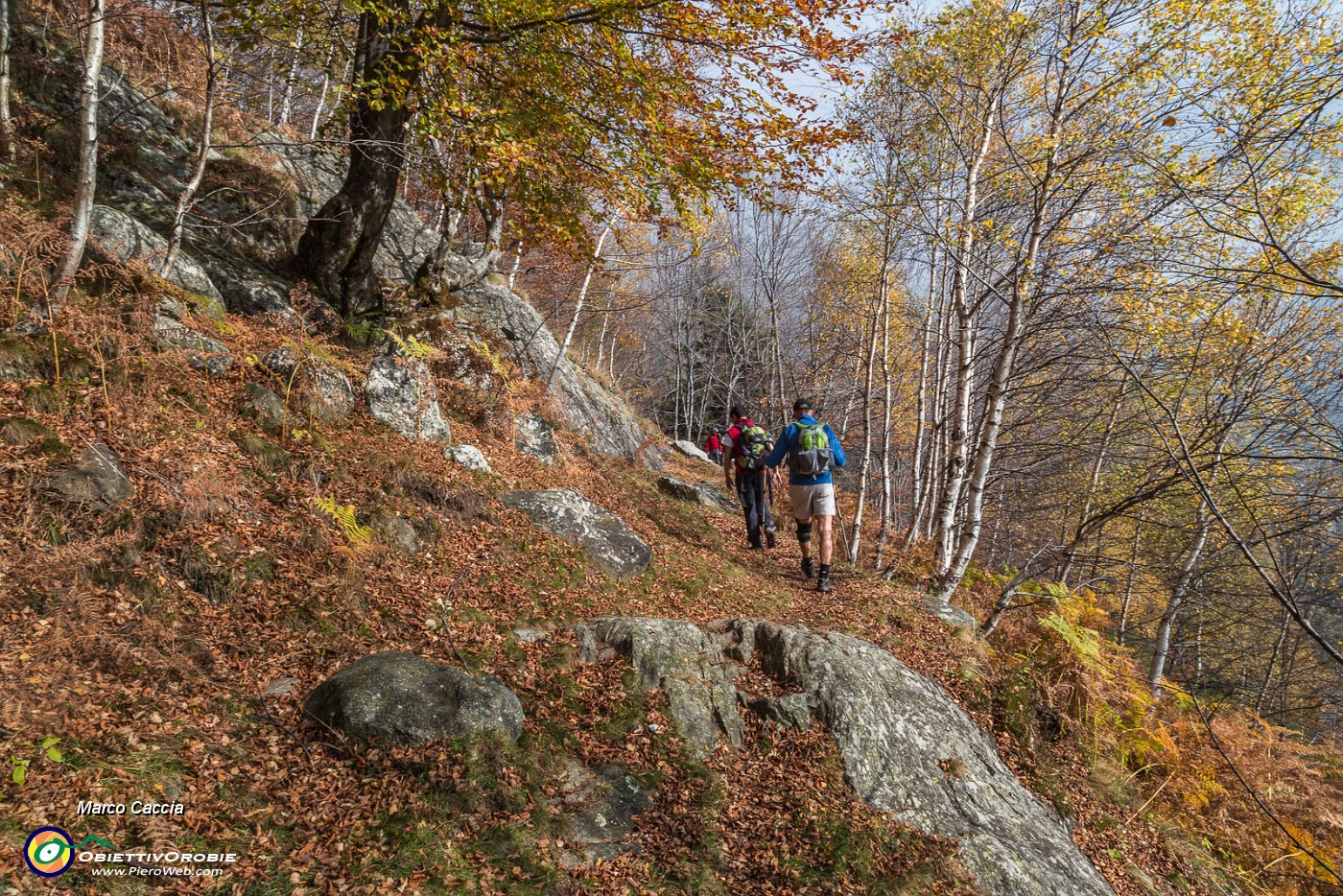 _MG_7577.JPG