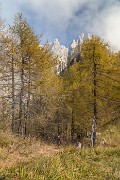 _MG_7529