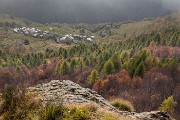 _MG_7538